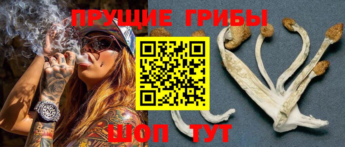 где найти наркотики  Галлюциногенные грибы мухоморы  Вход с VPN  Тайшет 