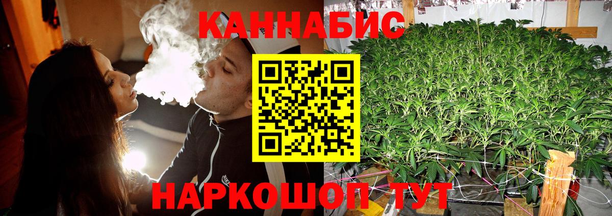Каннабис план  Вход с VPN  Тайшет  Каннабис OG Kush  МАРИХУАНА план  Шишки марихуана Bruce Banner 
